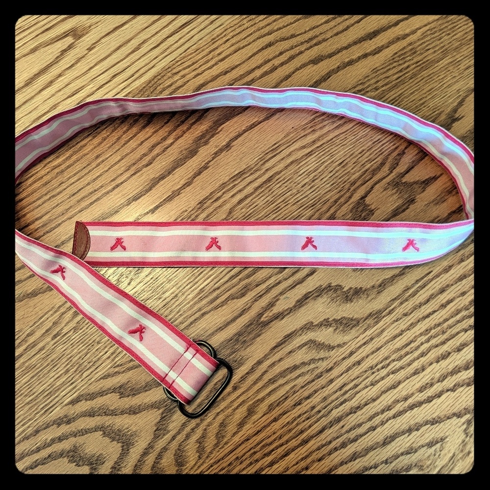 American Eagle Belt